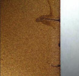 普通碳化鎢硬質(zhì)合金