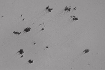 普通碳化鎢硬質(zhì)合金材料