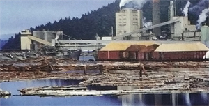 木屑粉碎螺桿碳化鎢涂層